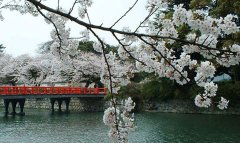 品質(zhì)安心:大阪東京迪士尼6日?qǐng)D片