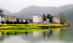婺源-景德鎮雙臥四日游圖片