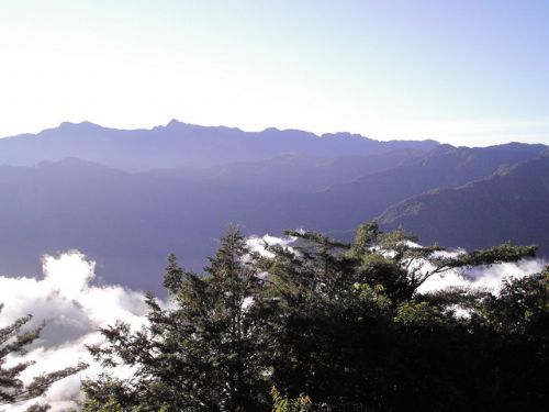 阿里山的風景美如畫圖片